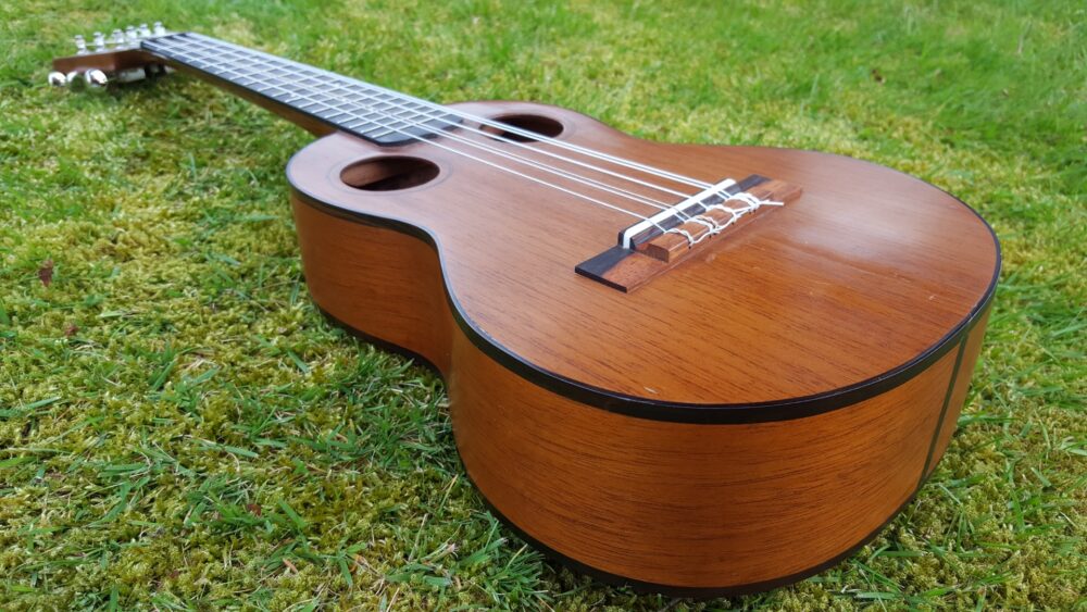 Ukulele Bottom up